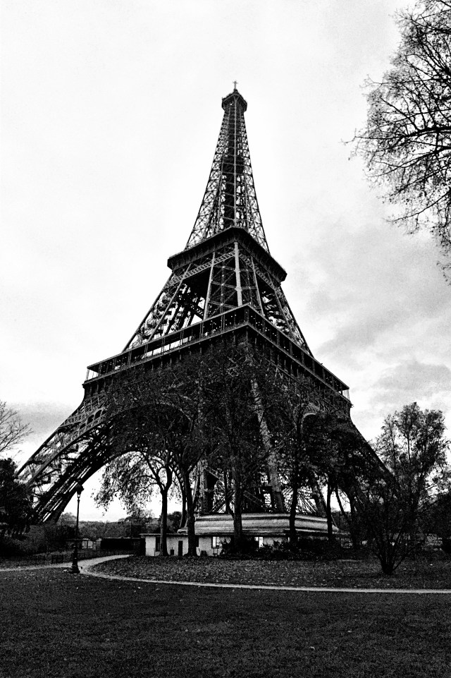 my heart grieves for the people of paris. for the families who lost their loved ones. and for those still in fear of what might come next. 