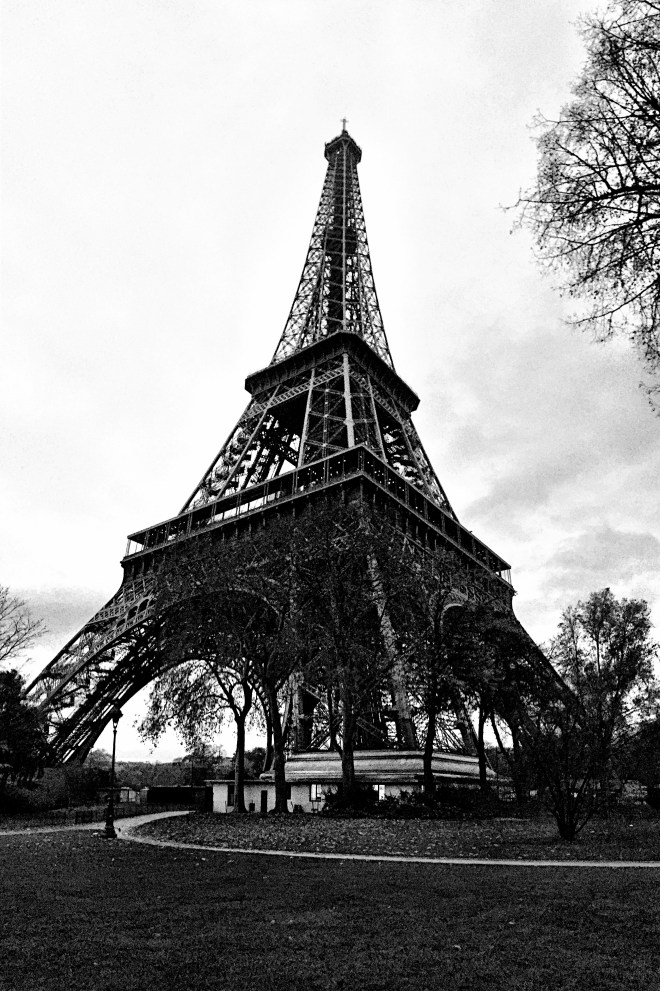 my heart grieves for the people of paris. for the families who lost their loved ones. and for those still in fear of what might come next. 